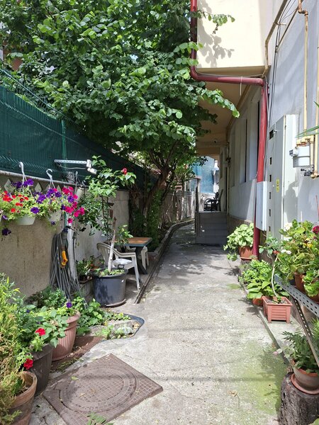 Piata Unirii, Calea Calarasilor, proprietar, vand casa P+M, 4 camere